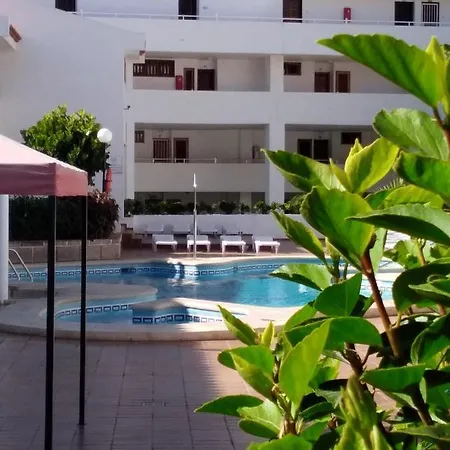Kaktus Apartament *