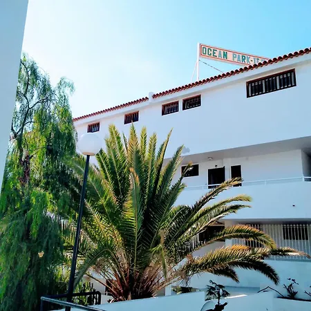 Kaktus Apartment